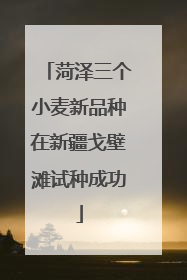 菏泽三个小麦新品种在新疆戈壁滩试种成功