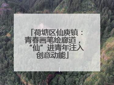 荷塘区仙庾镇：青春画笔绘廊道，“仙”进青年注入创意动能