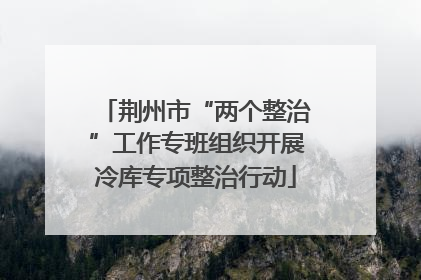荆州市“两个整治”工作专班组织开展冷库专项整治行动