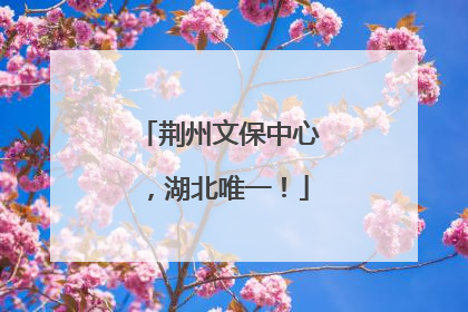 荆州文保中心，湖北唯一！