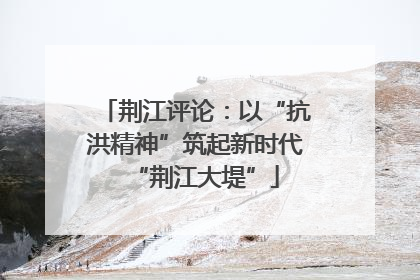 荆江评论：以“抗洪精神”筑起新时代“荆江大堤”
