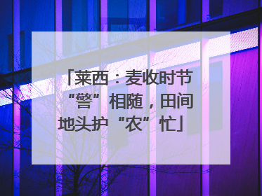 莱西：麦收时节“警”相随，田间地头护“农”忙