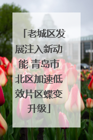老城区发展注入新动能 青岛市北区加速低效片区蝶变升级