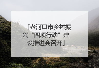 老河口市乡村振兴“四项行动”建设推进会召开