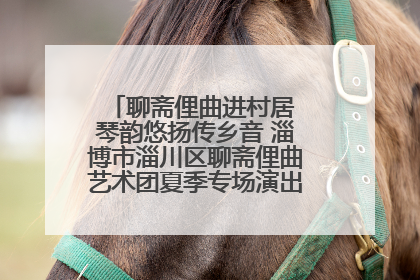 聊斋俚曲进村居 琴韵悠扬传乡音 淄博市淄川区聊斋俚曲艺术团夏季专场演出在杏园子村举行