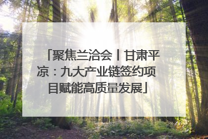 聚焦兰洽会丨甘肃平凉：九大产业链签约项目赋能高质量发展