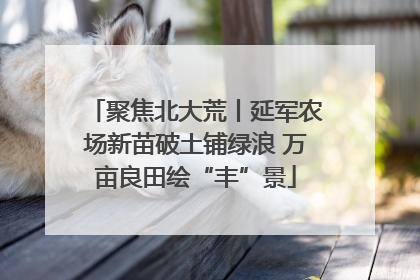聚焦北大荒丨延军农场新苗破土铺绿浪 万亩良田绘“丰”景