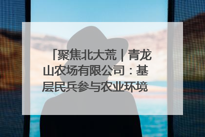 聚焦北大荒｜青龙山农场有限公司：基层民兵参与农业环境综合治理显效