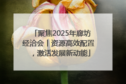 聚焦2025年廊坊经洽会丨资源高效配置，激活发展新动能