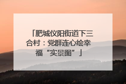 肥城仪阳街道下三合村：党群连心绘幸福“实景图”