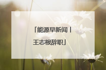 能源早新闻丨王志根辞职