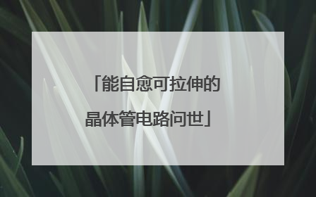 能自愈可拉伸的晶体管电路问世