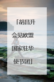 胡昌升会见欧盟国家驻华使节团