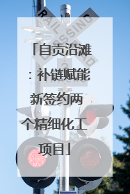 自贡沿滩：补链赋能 新签约两个精细化工项目