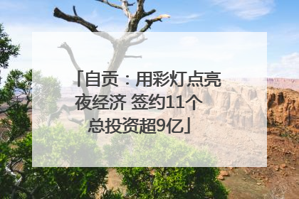 自贡：用彩灯点亮夜经济 签约11个总投资超9亿
