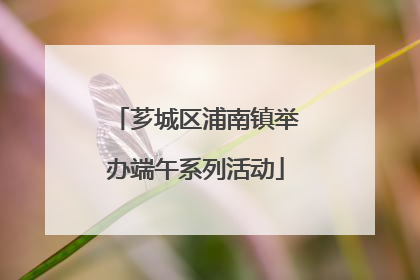 芗城区浦南镇举办端午系列活动
