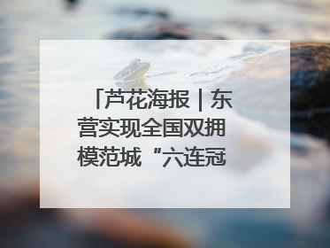 芦花海报｜东营实现全国双拥模范城“六连冠”的背后