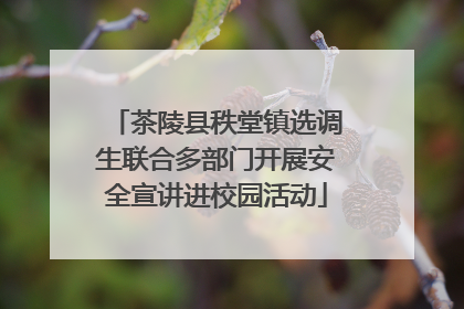 茶陵县秩堂镇选调生联合多部门开展安全宣讲进校园活动