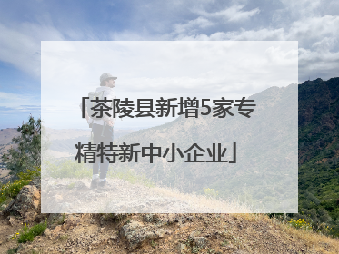茶陵县新增5家专精特新中小企业