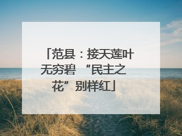 范县：接天莲叶无穷碧 “民主之花”别样红