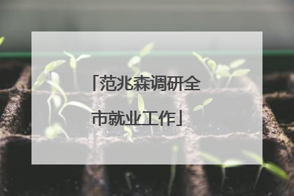 范兆森调研全市就业工作