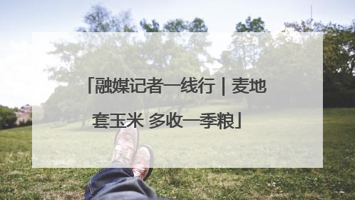 融媒记者一线行｜麦地套玉米 多收一季粮