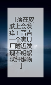 落在皮肤上会发痒！普吉一个家具厂附近发现不明絮状纤维物