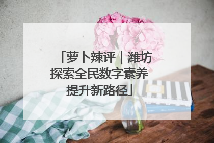 萝卜辣评｜潍坊探索全民数字素养提升新路径
