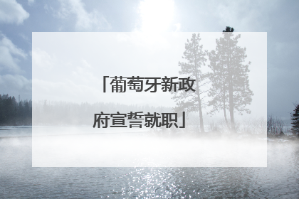 葡萄牙新政府宣誓就职