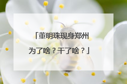 董明珠现身郑州 为了啥？干了啥？