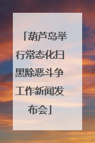 葫芦岛举行常态化扫黑除恶斗争工作新闻发布会