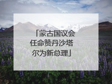 蒙古国议会任命赞丹沙塔尔为新总理