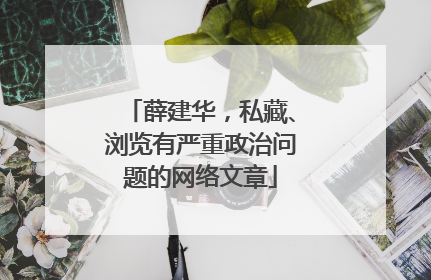 薛建华，私藏、浏览有严重政治问题的网络文章