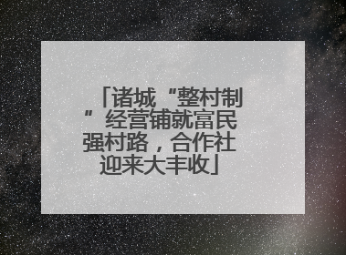 诸城“整村制”经营铺就富民强村路，合作社迎来大丰收