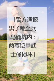 警方通报男子跳至兵马俑坑内：两尊铠甲武士俑损坏