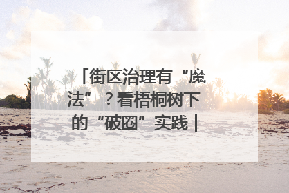 街区治理有“魔法”？看梧桐树下的“破圈”实践｜我在街区当书记