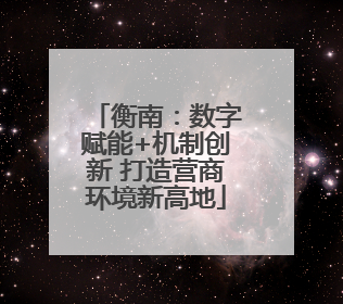 衡南：数字赋能+机制创新 打造营商环境新高地