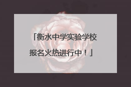 衡水中学实验学校报名火热进行中！