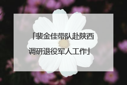 裴金佳带队赴陕西调研退役军人工作