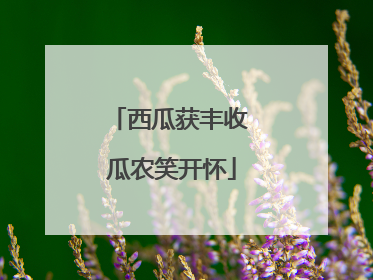 西瓜获丰收 瓜农笑开怀