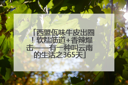 西盟佤味牛皮出圈！软糯筋道+香辣爆击——有一种叫云南的生活之365天