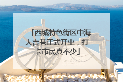 西城特色街区中海大吉巷正式开业，打卡市民真不少