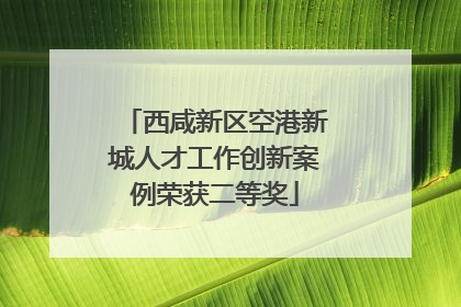 西咸新区空港新城人才工作创新案例荣获二等奖