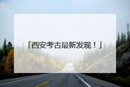 西安考古最新发现！
