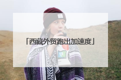 西藏外贸跑出加速度