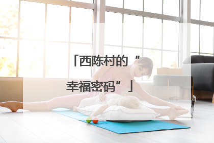 西陈村的“幸福密码”