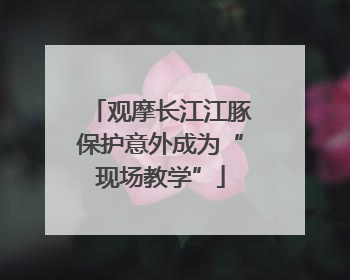 观摩长江江豚保护意外成为“现场教学”