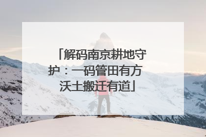 解码南京耕地守护：一码管田有方 沃土搬迁有道