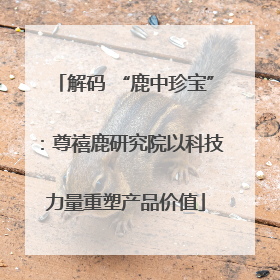 解码 “鹿中珍宝”：尊禧鹿研究院以科技力量重塑产品价值