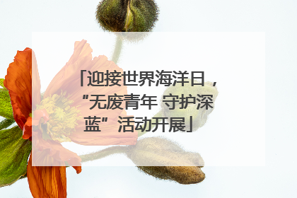 迎接世界海洋日，“无废青年 守护深蓝”活动开展